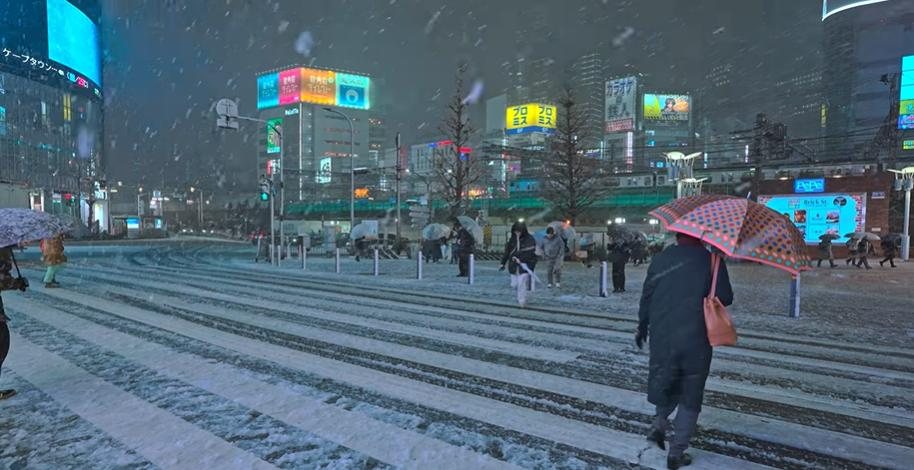Pedestrian with an umbrella crossing a snowy street