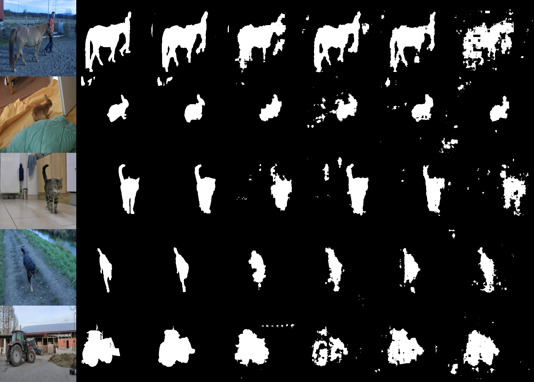Motion segmentation probing on five FBMS-59 videos, a horse, a rabbit, a cat, a dog and a tractor, for all methods
